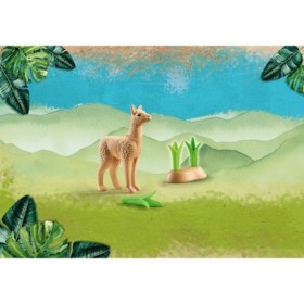 Pui de alpaca
